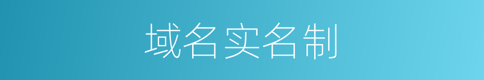 域名实名制的同义词