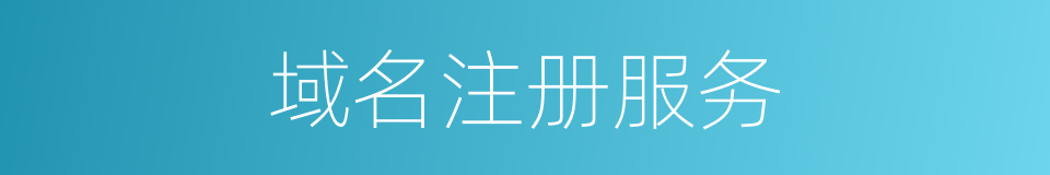 域名注册服务的同义词