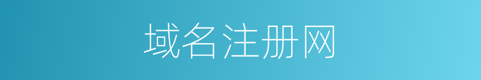 域名注册网的同义词