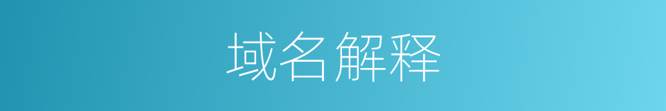 域名解释的同义词