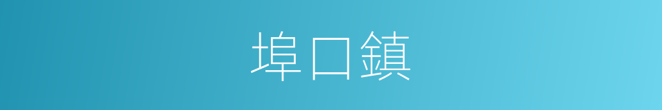 埠口鎮的同義詞