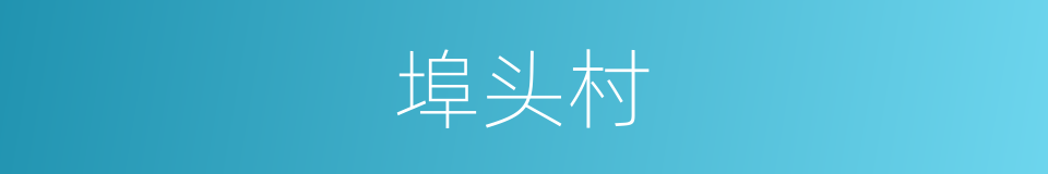 埠头村的同义词