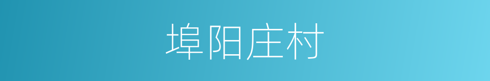 埠阳庄村的同义词