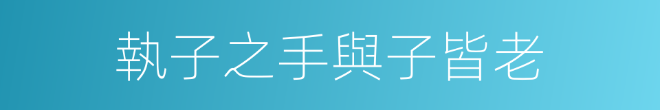 執子之手與子皆老的同義詞