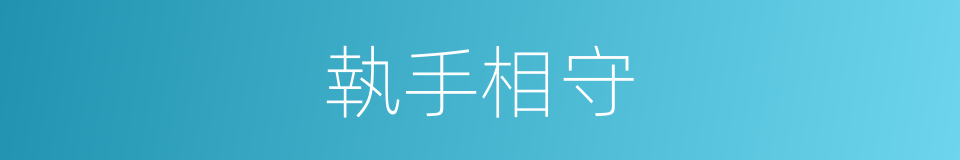 執手相守的同義詞