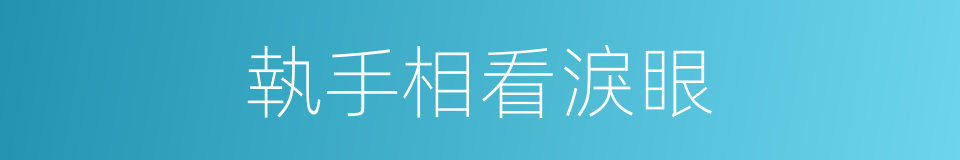執手相看淚眼的同義詞