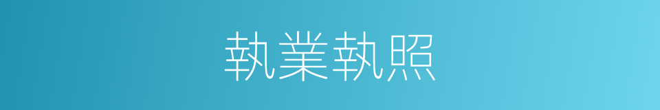執業執照的同義詞