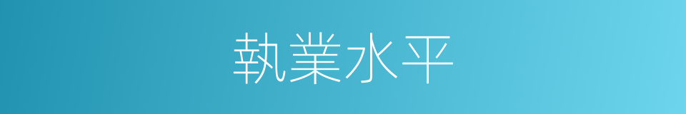 執業水平的同義詞