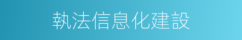 執法信息化建設的同義詞