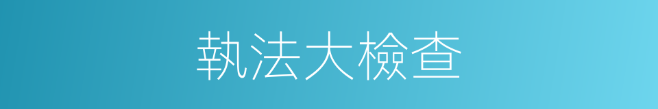 執法大檢查的同義詞