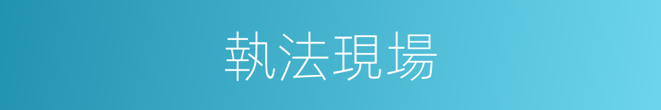 執法現場的同義詞
