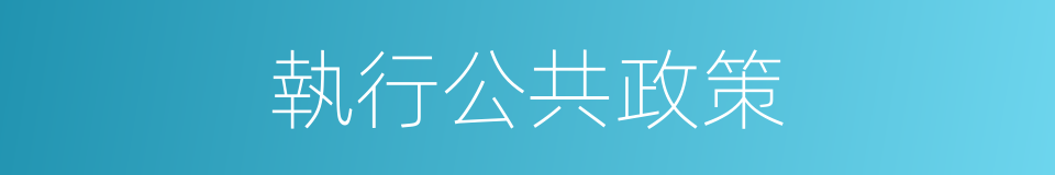 執行公共政策的同義詞