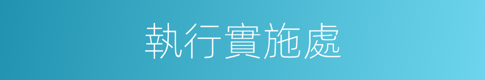 執行實施處的同義詞