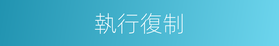 執行復制的同義詞
