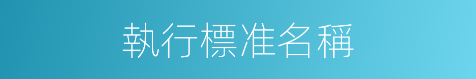 執行標准名稱的同義詞