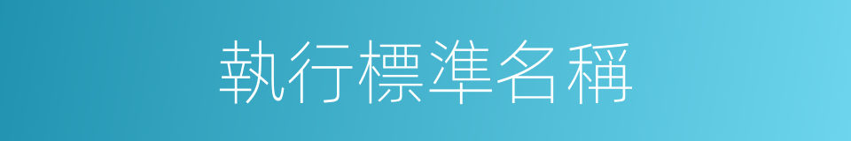 執行標準名稱的同義詞