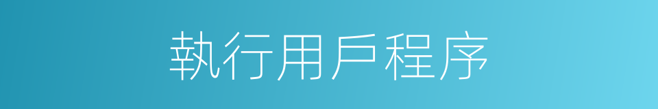 執行用戶程序的同義詞