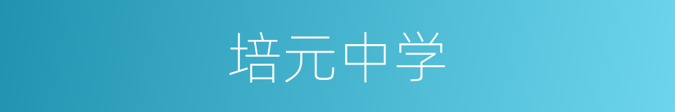 培元中学的同义词
