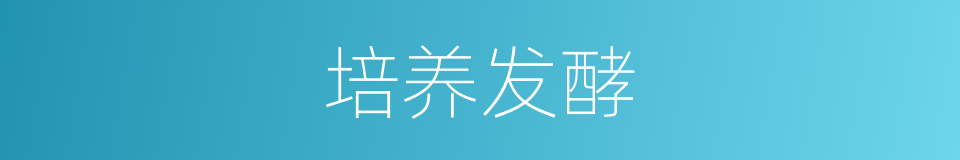 培养发酵的同义词
