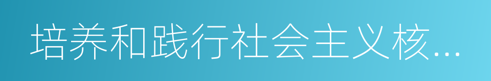 培养和践行社会主义核心价值观的同义词