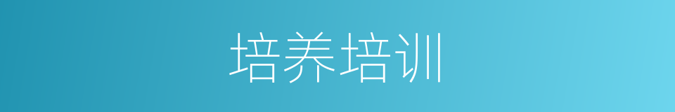 培养培训的同义词