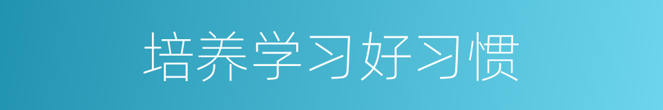 培养学习好习惯的同义词