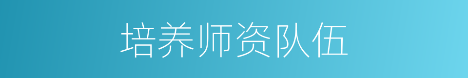 培养师资队伍的同义词