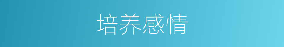 培养感情的同义词