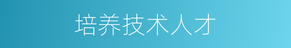 培养技术人才的同义词