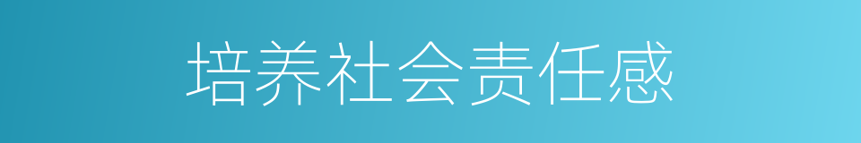 培养社会责任感的同义词