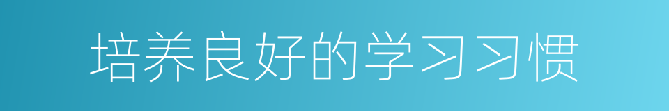 培养良好的学习习惯的同义词