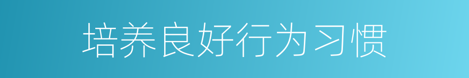 培养良好行为习惯的同义词