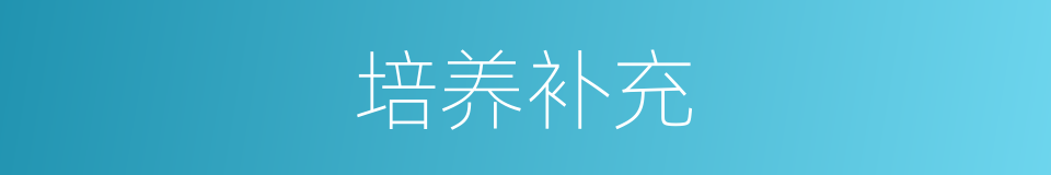 培养补充的同义词