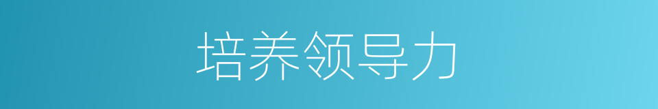 培养领导力的同义词
