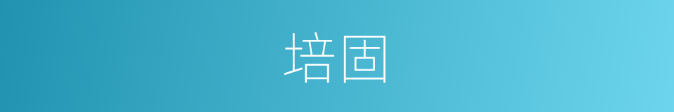 培固的同义词