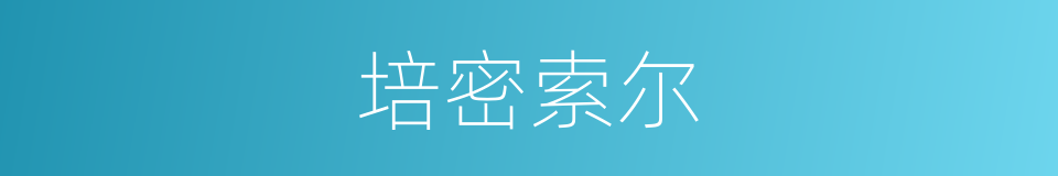 培密索尔的同义词