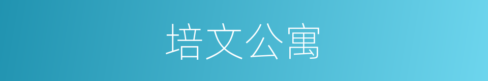 培文公寓的同义词