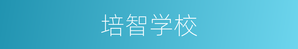 培智学校的同义词