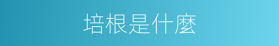培根是什麼的同義詞