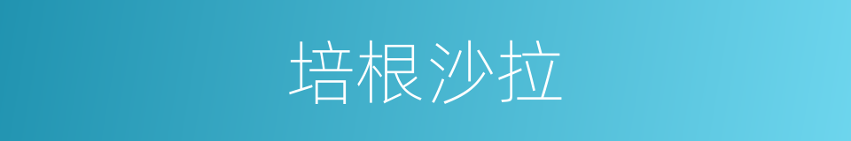 培根沙拉的同义词