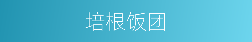 培根饭团的同义词