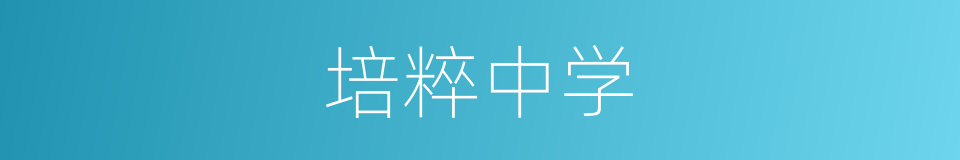 培粹中学的同义词