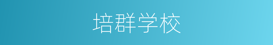培群学校的同义词