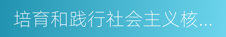 培育和践行社会主义核心价值观的同义词