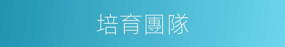 培育團隊的同義詞