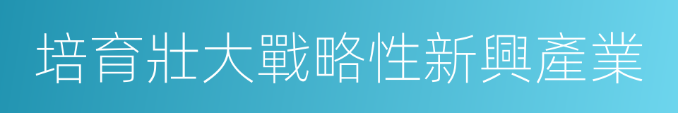 培育壯大戰略性新興產業的同義詞