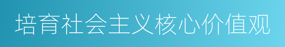 培育社会主义核心价值观的同义词