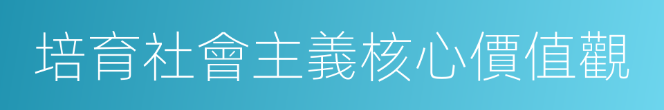 培育社會主義核心價值觀的同義詞