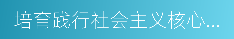 培育践行社会主义核心价值观的同义词