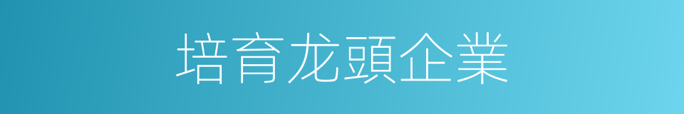 培育龙頭企業的同義詞